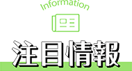 注目情報